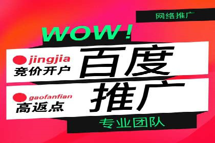 百度竞价广告投放策略案例